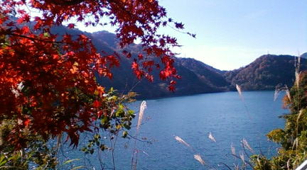 紅葉 丹沢湖 釣りおやじ 紅葉 丹沢湖 釣りおやじ