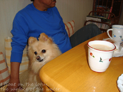 b0075318_14471536.gif