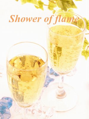 　『Shower of flame 1』_c0117518_174040100.jpg