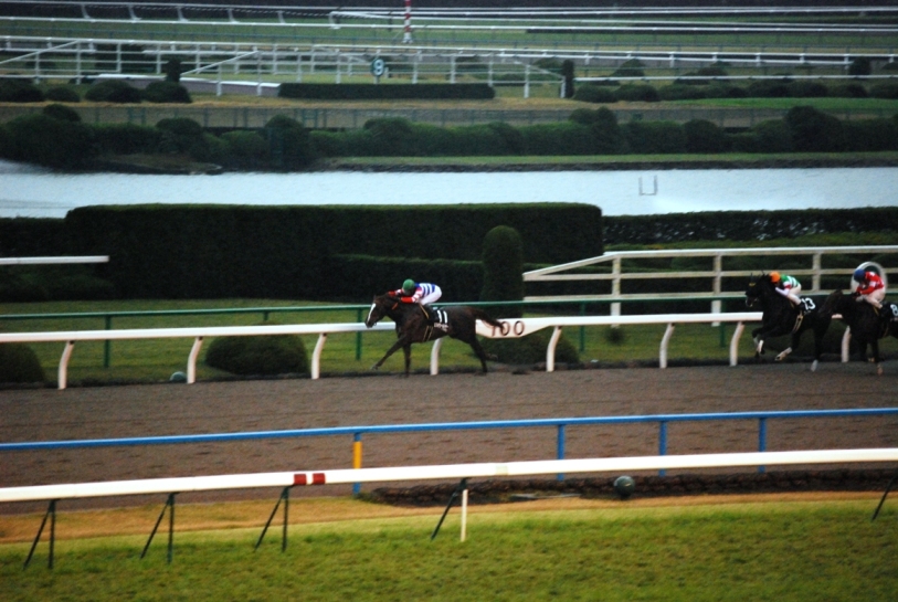 遂に　優勝しました！！　口取りも出来ました！！_f0053218_2115751.jpg