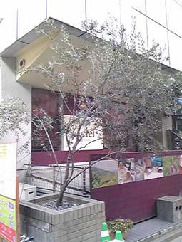e0158919_22502683.jpg
