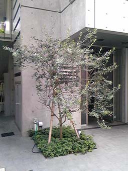 e0158919_22513495.jpg