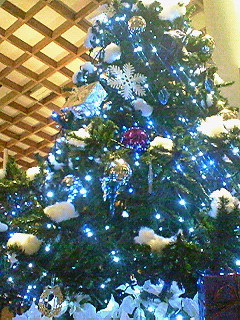 b0006423_061314.jpg