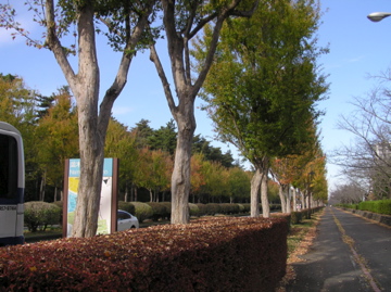 f0128723_1131932.jpg