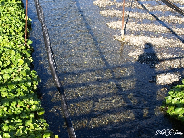 c0157624_214333.jpg