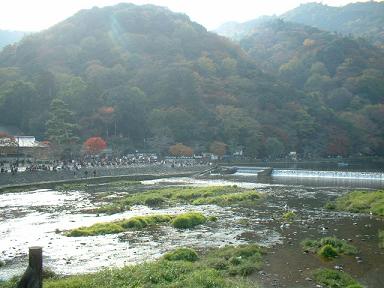 （2） 京都 嵐山・嵯峨野 ～紅葉と大河内山荘～_e0071524_048496.jpg