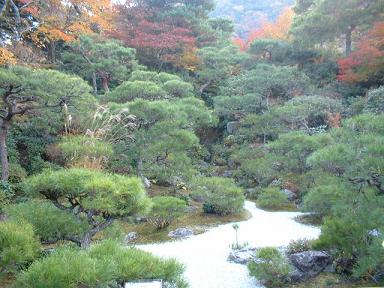 （2） 京都 嵐山・嵯峨野 ～紅葉と大河内山荘～_e0071524_1165014.jpg