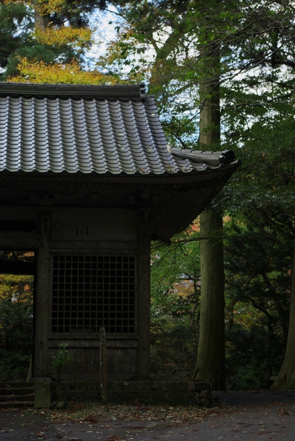 鰐淵寺 散策　その１_e0118825_18115186.jpg