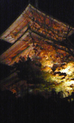 e0002926_1112292.jpg