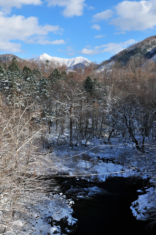 雪景色_f0116528_13184765.jpg