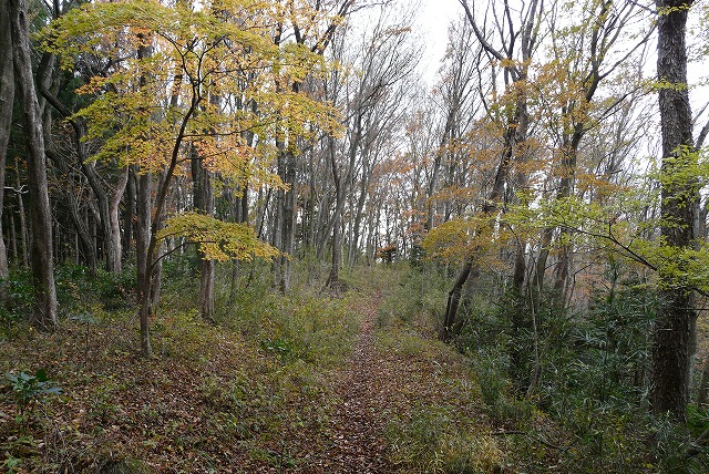 f0003138_13225158.jpg