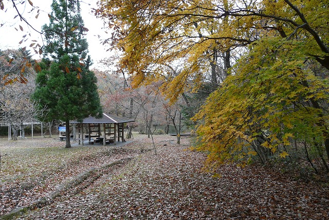 f0003138_13264317.jpg