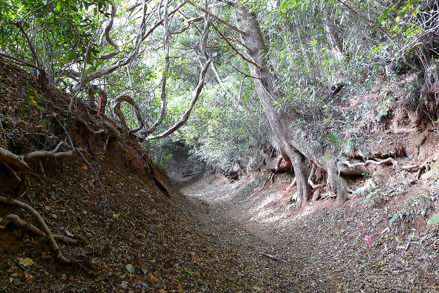 f0003138_13362587.jpg