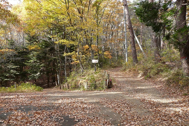 f0003138_1341570.jpg