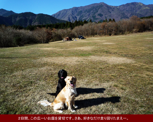 富士山の麓で冬キャンプ[前編]_e0038241_17131045.jpg