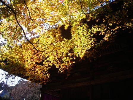 b0080342_23563828.jpg