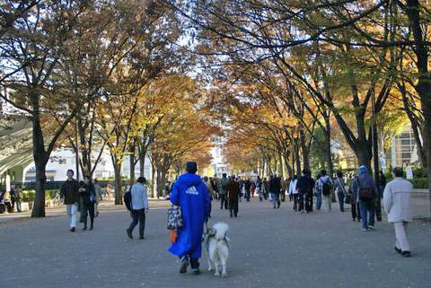 e0143442_12082.jpg