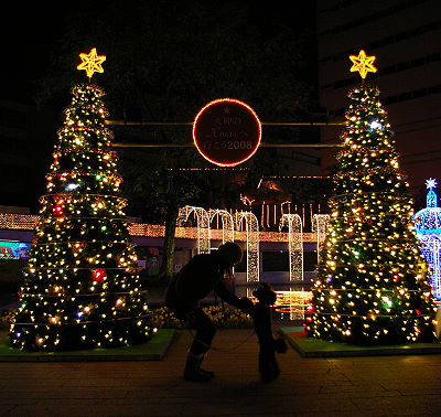 d0026745_3464453.jpg
