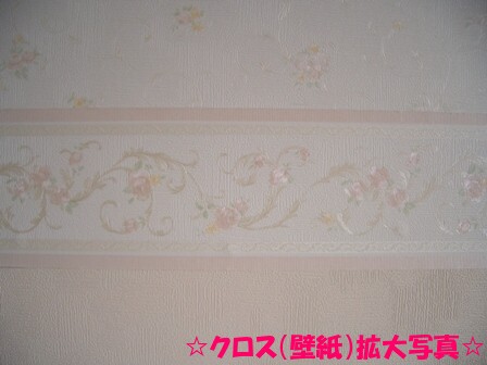 e0155945_1010338.jpg