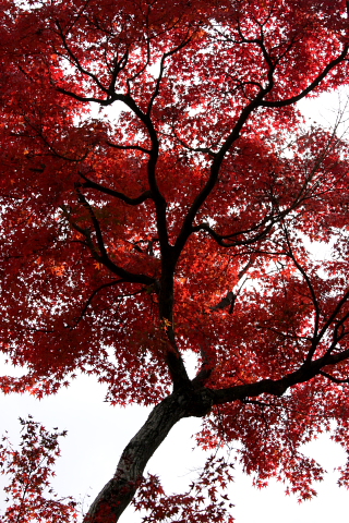 a0024250_029276.jpg