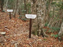 d0048350_17454251.jpg