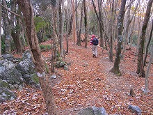 d0048350_1832677.jpg