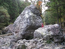d0048350_184061.jpg