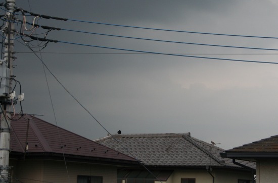 e0126350_054279.jpg