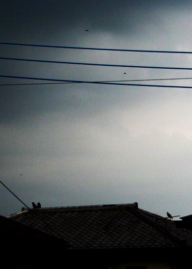 e0126350_05760.jpg