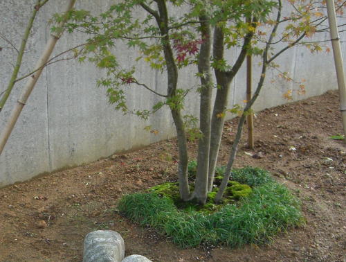 a0024652_9293332.jpg