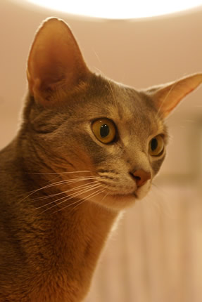 d0008256_22474822.jpg