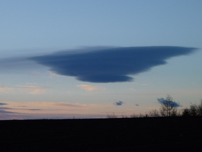 b0045357_1425749.jpg