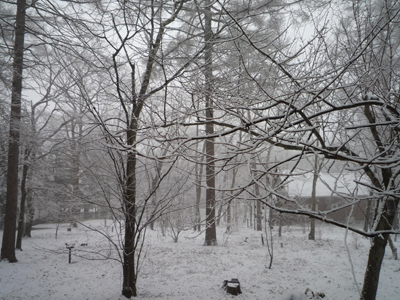 b0045357_2185774.jpg