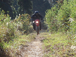 e0152357_2224365.jpg