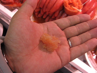 e0152357_23113082.jpg