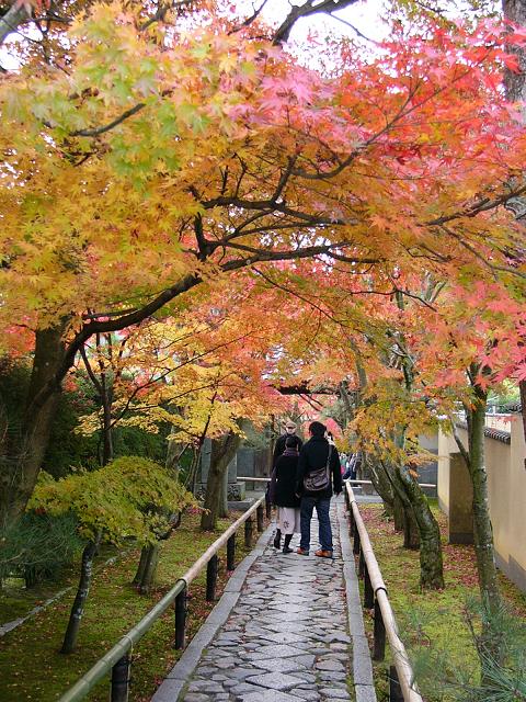 京都・光悦寺参道の紅葉_b0063958_10265869.jpg