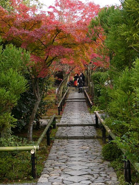 京都・光悦寺参道の紅葉_b0063958_10272992.jpg