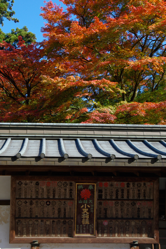 大雄山最乗寺_c0103558_6583179.jpg