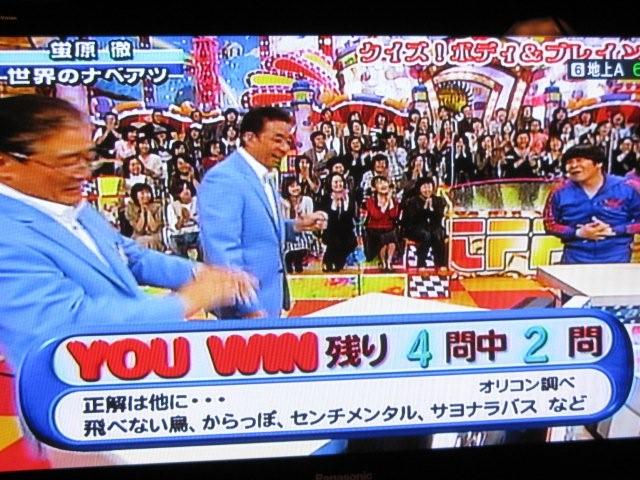 Garbage TV_c0157558_202515.jpg
