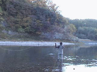 f0084561_13522169.gif