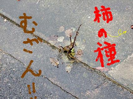 f0103062_02050.jpg