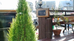 d0083265_209531.jpg