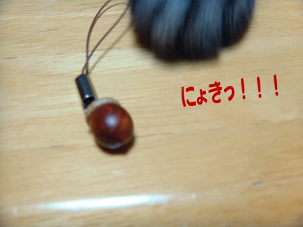 a0039366_23392912.jpg