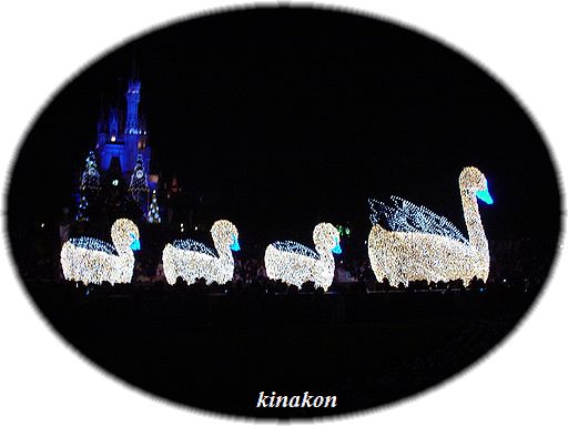 東京ディズニーランド　夜のパレード_a0107666_032736.jpg