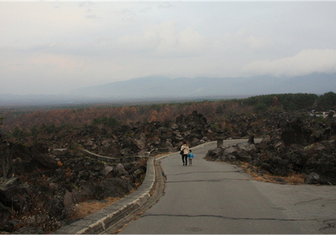 f0054868_10312325.jpg