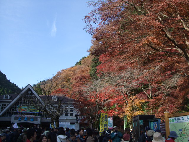 高尾山の紅葉_c0006772_82228.jpg