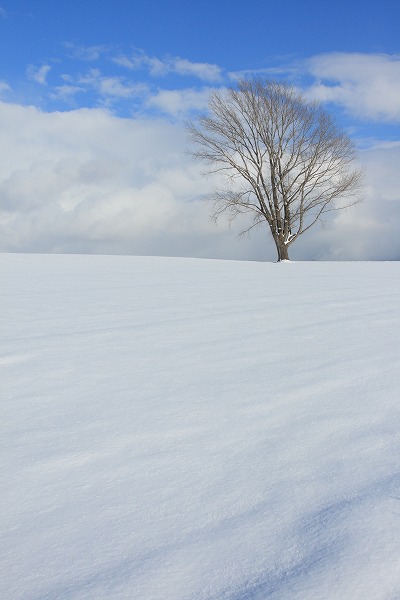 いつもの場所で・・・_e0097377_7571161.jpg