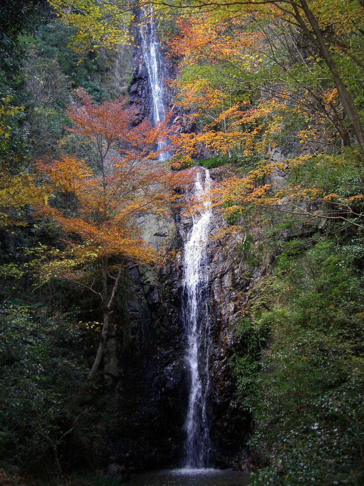 今年最初で最後の紅葉狩りドライブ_f0121480_18535413.jpg