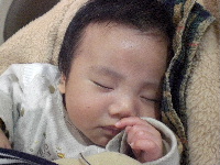 c0083484_2305489.jpg