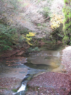 b0124685_10103839.jpg